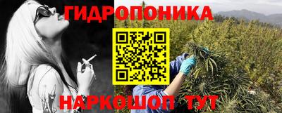 крисы Рыбинск