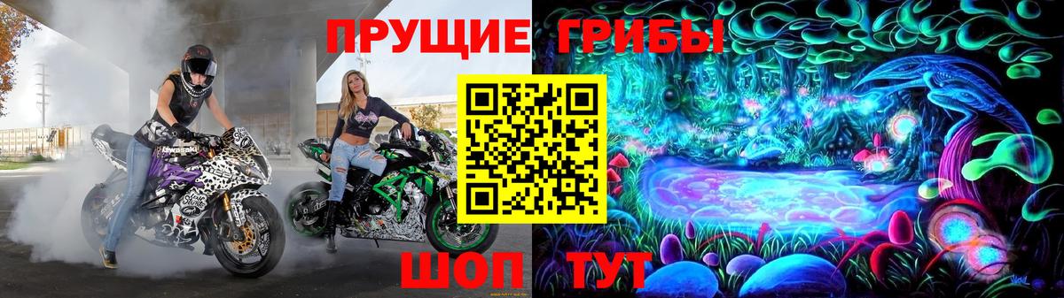 Галлюциногенные грибы Magic Shrooms  Вход с VPN  Ногинск  Псилоцибиновые грибы Psilocybine cubensis 